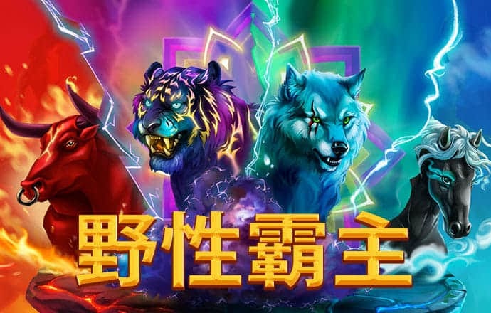 免费国产砖矿砖码2024